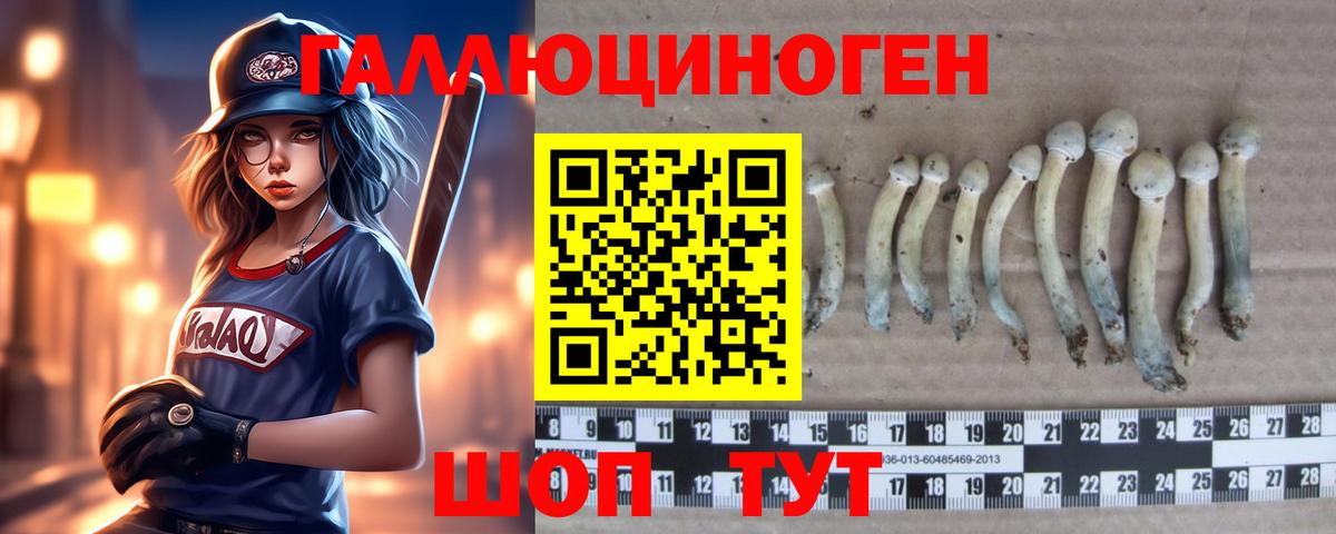 Псилоцибиновые грибы Psilocybine cubensis  Вход с VPN  Балахна 
